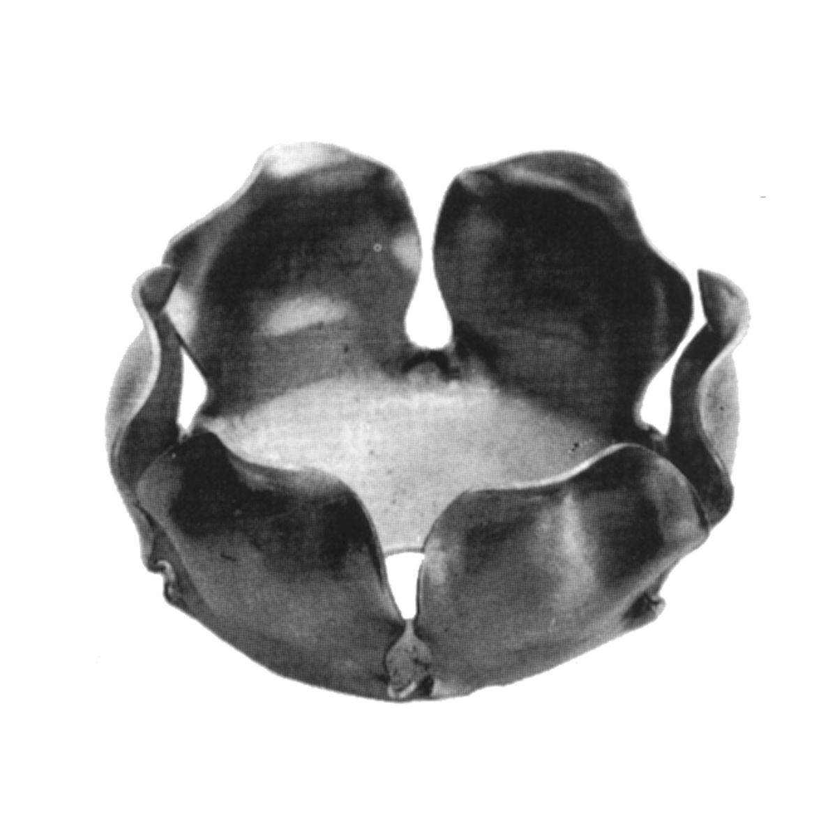 R 136/6
