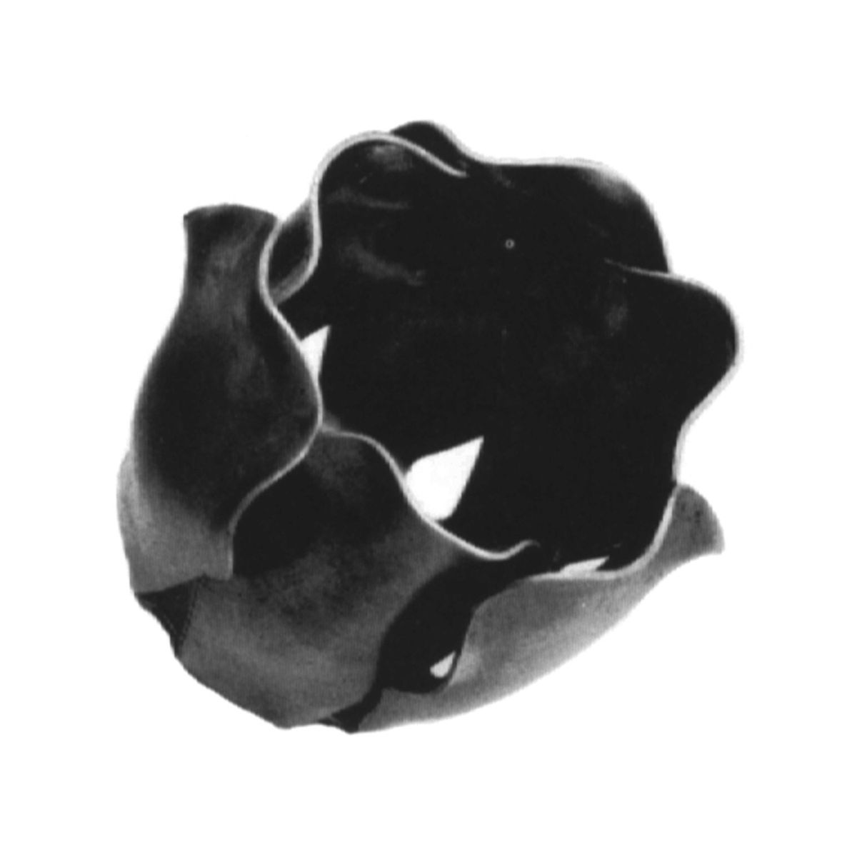 R 136/7