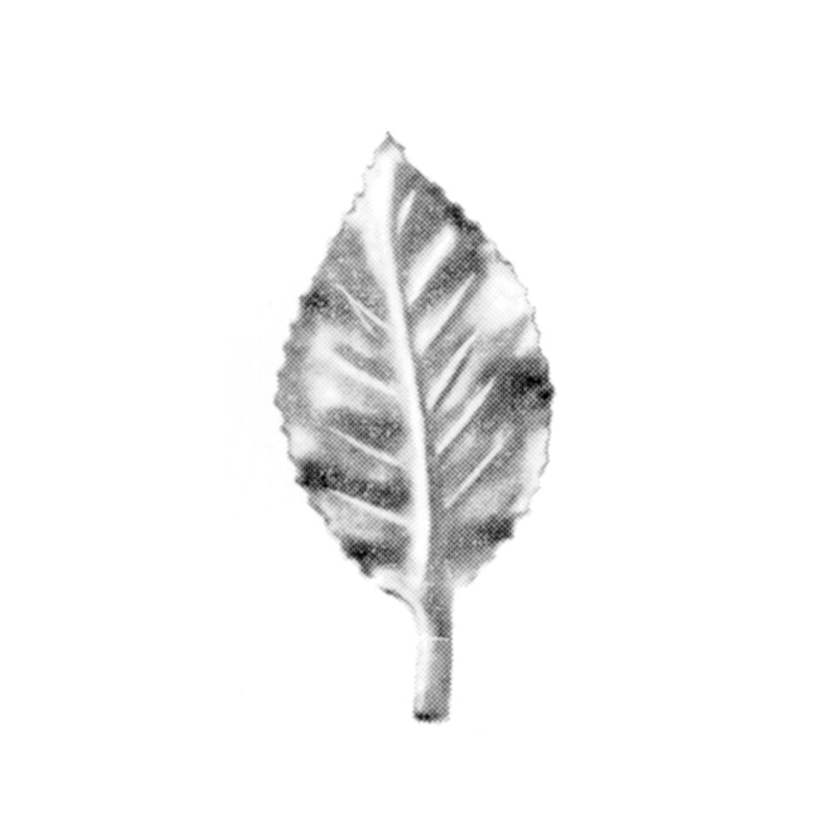 R 140/1