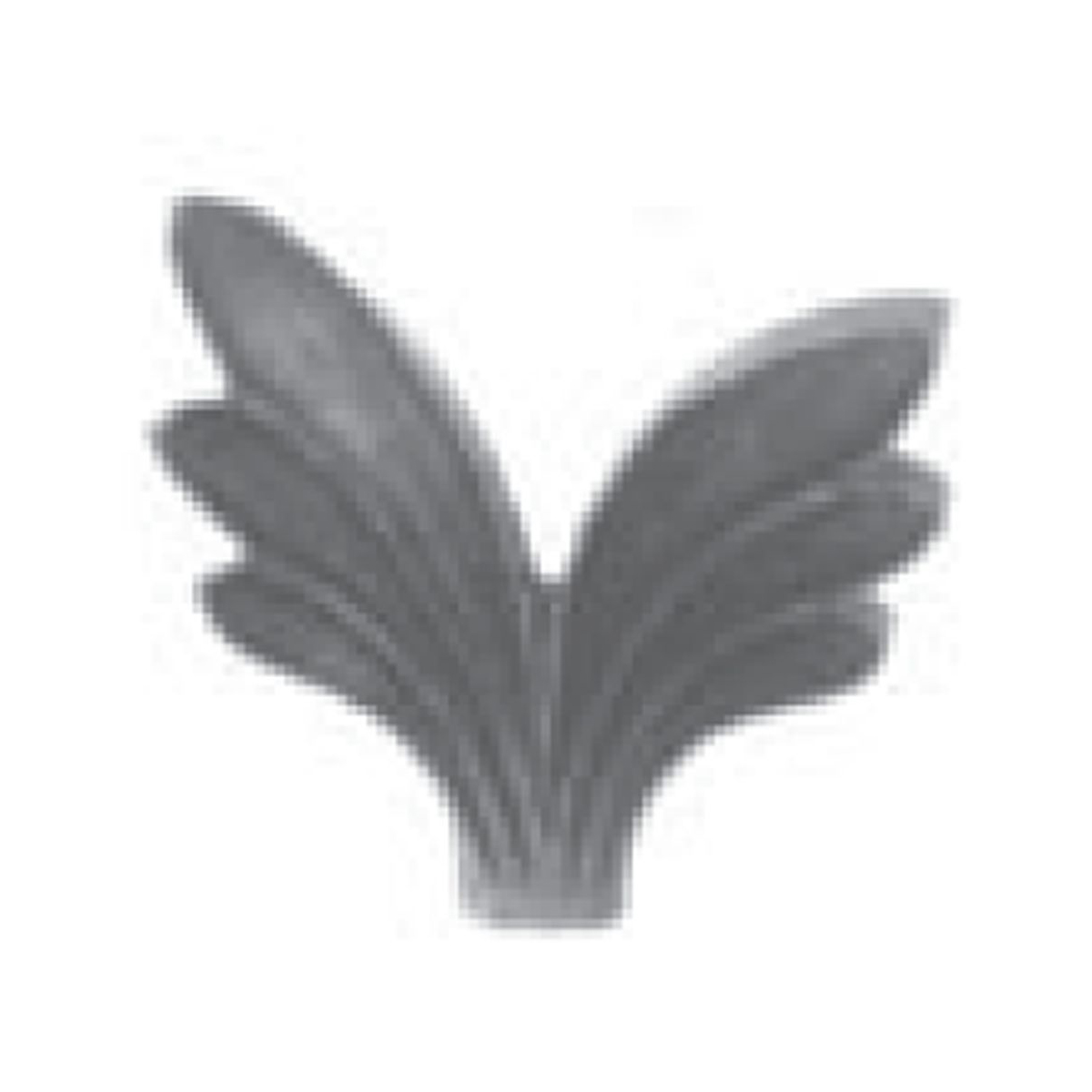 R 656/B/10